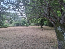 Terrain arboré de 817m2.