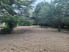 Terrain arboré de 817m2.