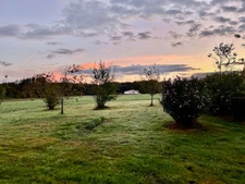 🏡 Ancienne Auberge à rénover – Fort potentiel – 10 min d’Épinal