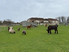 Exceptional Estate with Established Gîte Business, up to 40 