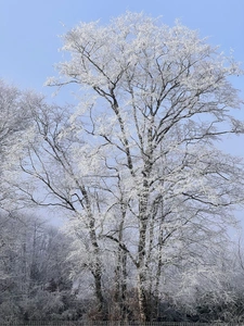 beautiful house with hug living-room, garage, 4/5 bedrooms