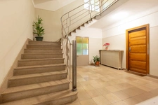 paris_secretan_dalmatien