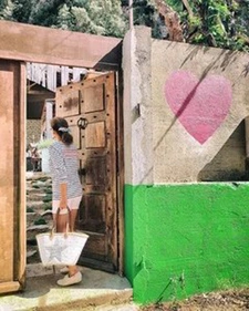 Loft/Atelier/Surface 305 m² - 8 pièces - Terrain : 455 m2