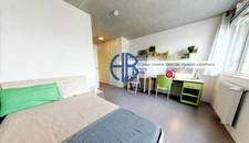 Appartement Lyon Confluence 1 pièce 20.15 m2