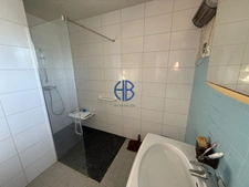 Maison à fort potentiel ? Secteur calme ? Le Grand-Lemps