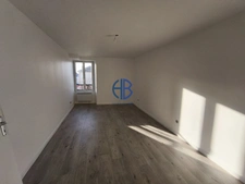 Appartement Saint Simeon De Bressieux 4 pièce(s) 107 m2 + local + 100m² caves