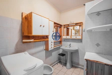 Appartement Seyssinet Pariset 3 pièce(s) 55 m2 + balcon + cave