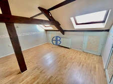 Maison  10 pièce(s) 365 m2