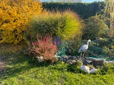 Maison Dolomieu 4 pièce(s) 100 m2