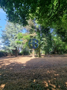 Terrain constructible viabilisé de 824m2, LIBRE CONSTRUCTEUR
