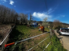 Ferme -- Maison + dépendences sur 4500m2 de terrain