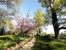 ANCIENNE MAISON DE MAITRE AVEC APPARTEMENTS ET DEPENDANCES E