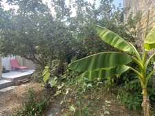 MAISON 3 CHAMBRES AVEC GARAGE ET JARDIN