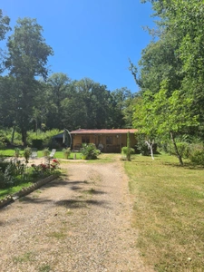 A SAISIR SANS TARDER 