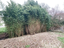 Maison rénovée 89 M2 en Village et terrain de 352 M2