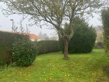 Maison de plain-pied 90 M2 sur parcelle de 586 M2 