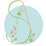 Sauvage Aromatiques - Taponas