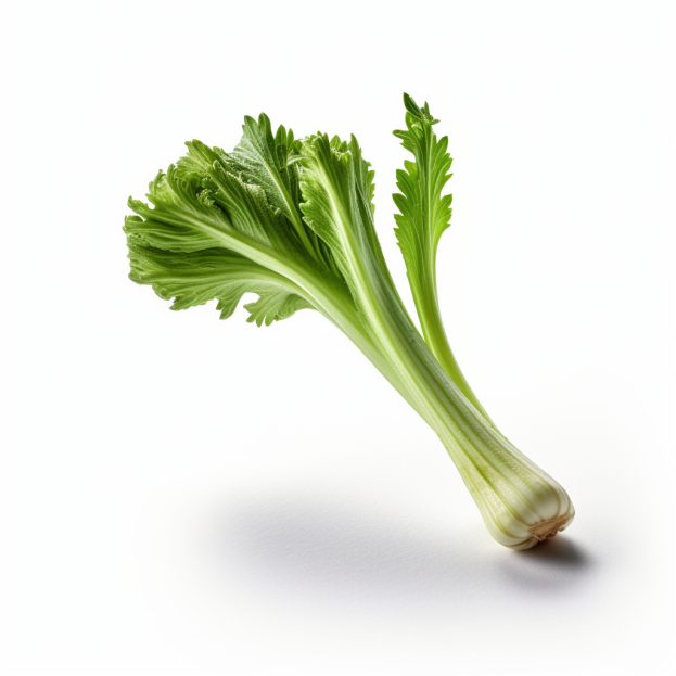 Céleri Branche