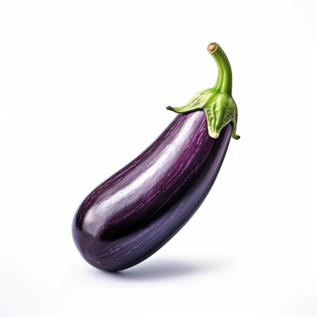 Aubergine