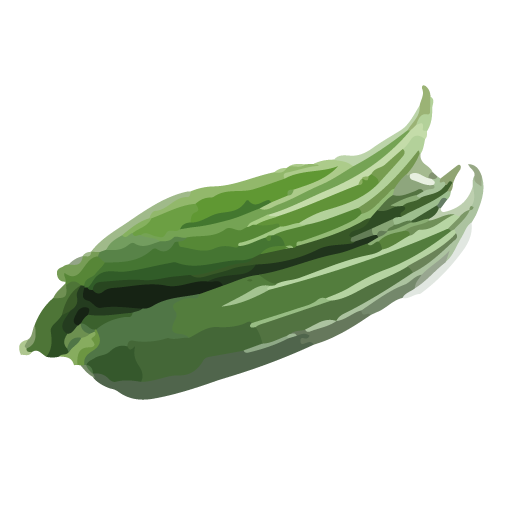 Courges Spaghetti végétal