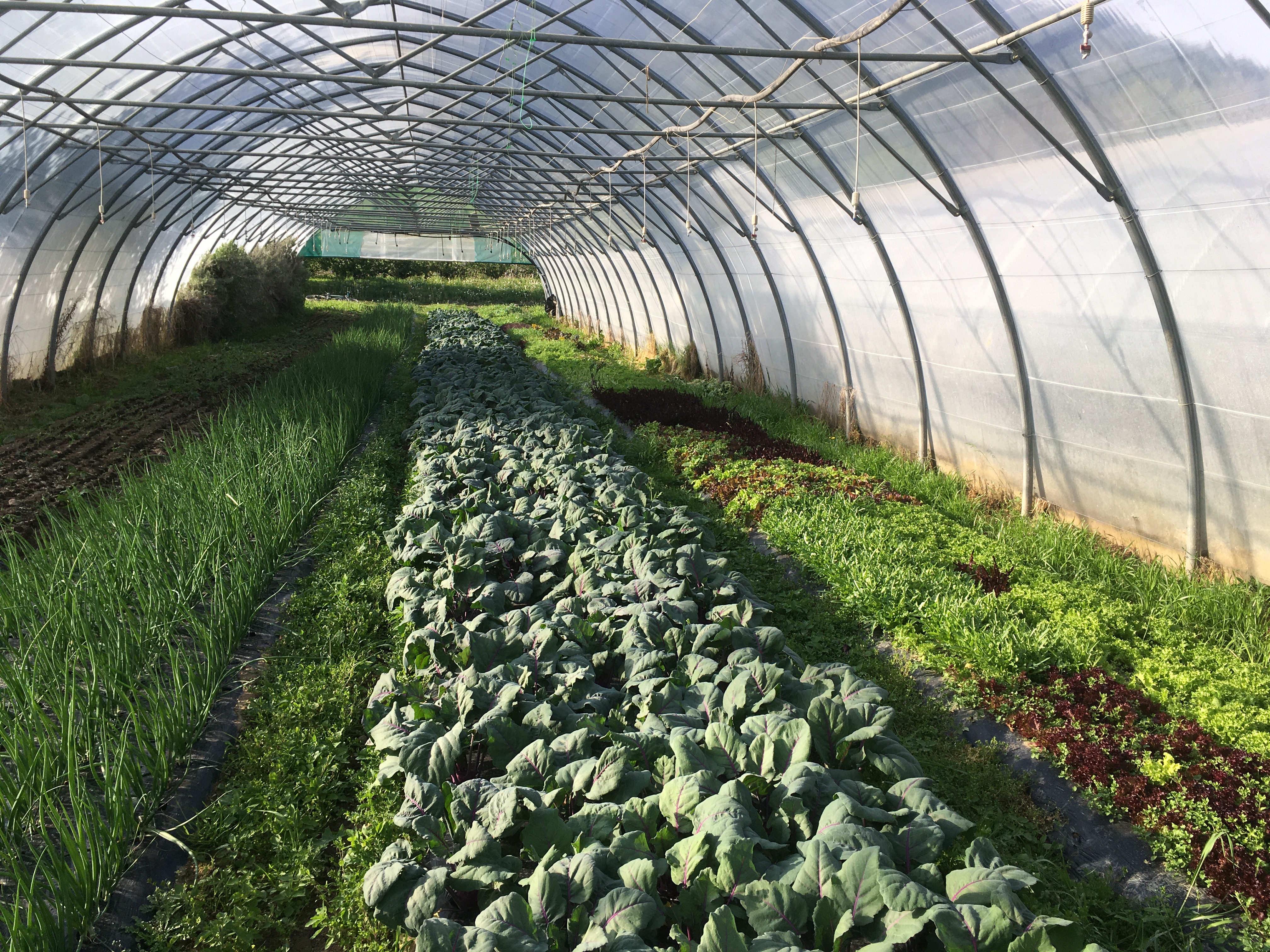 LES JARDINS EPICES TOUT