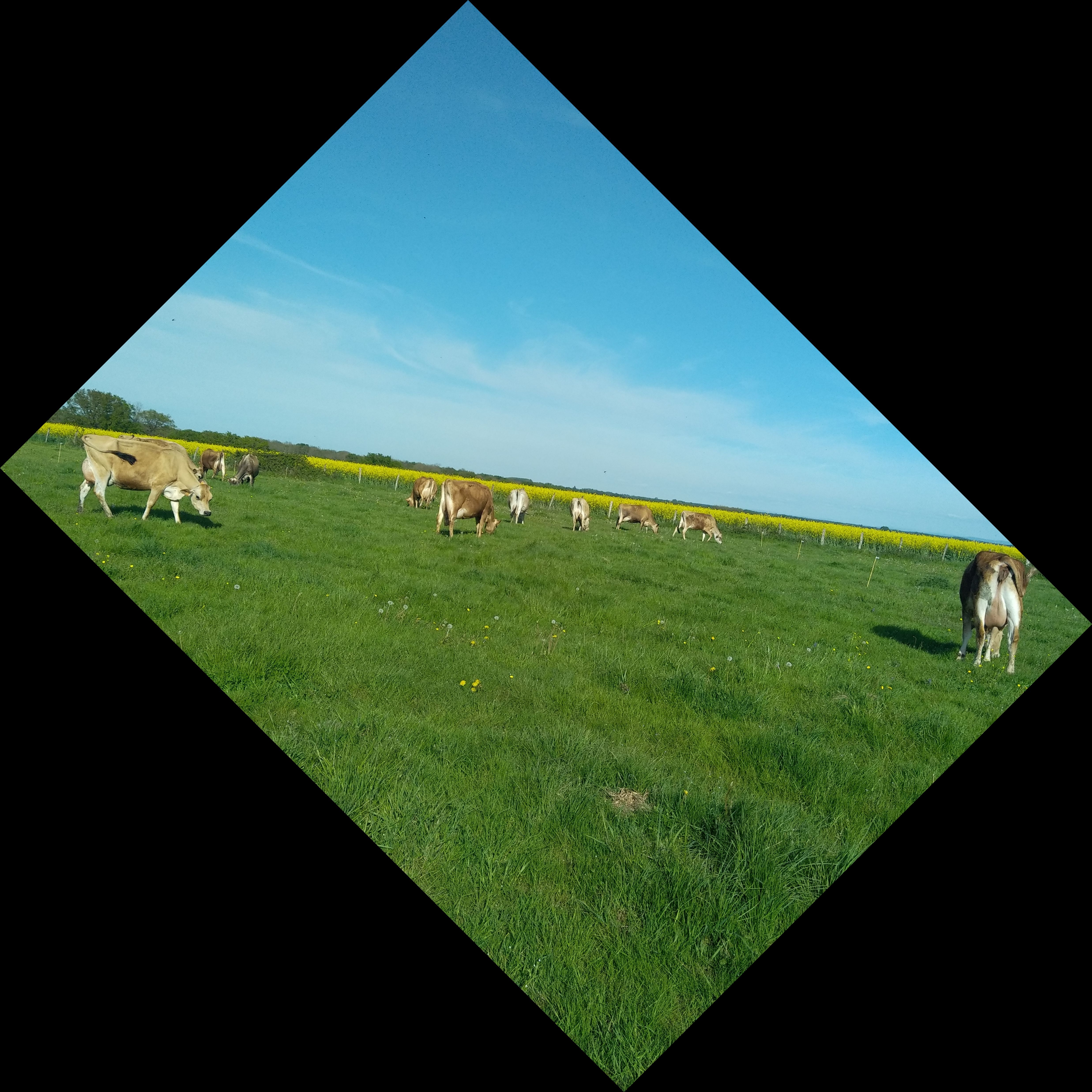 GAEC La Ferme des Muses