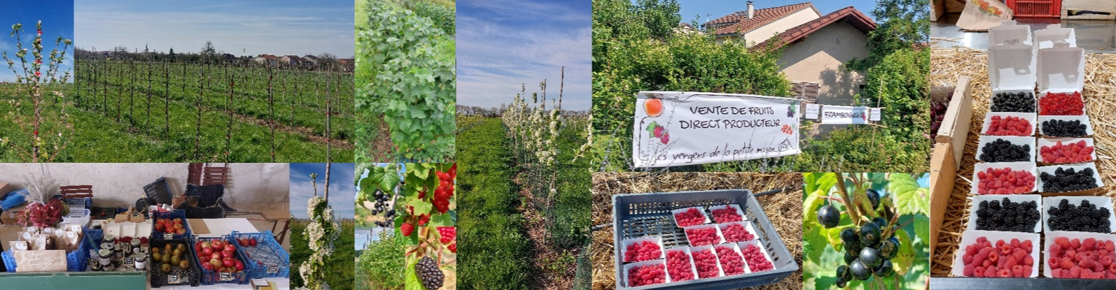 Les vergers de la petite maison