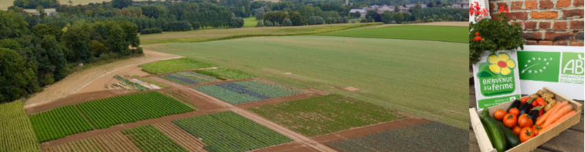 SCEA PANIER DE L'OMIGNON