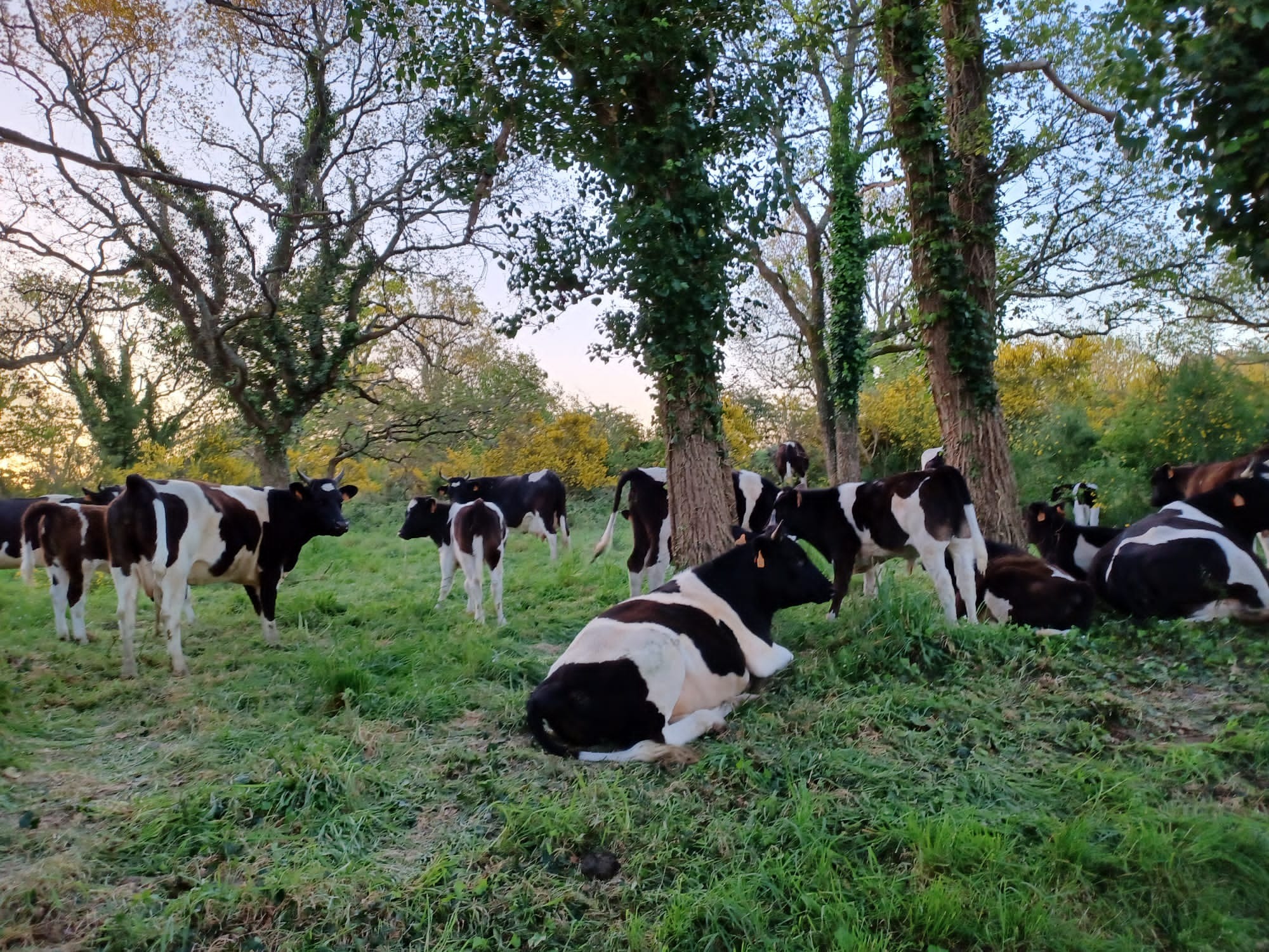 Ferme L'ORée Des Bois 