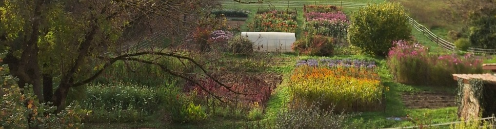 Les Fleurs de Saint-Sernin