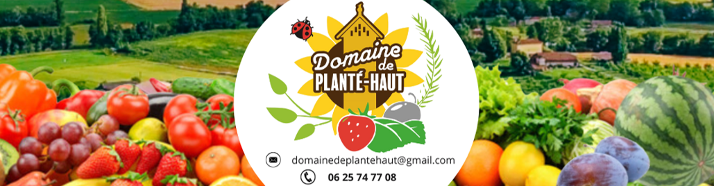 Domaine de Planté-Haut