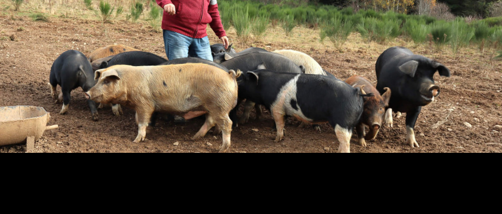 La ferme des Barbiquettes
