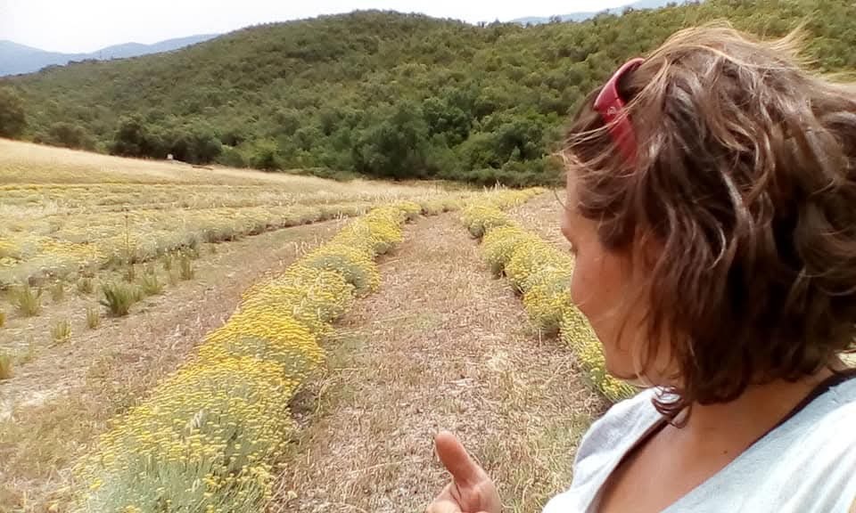 la Petite Coccinelle