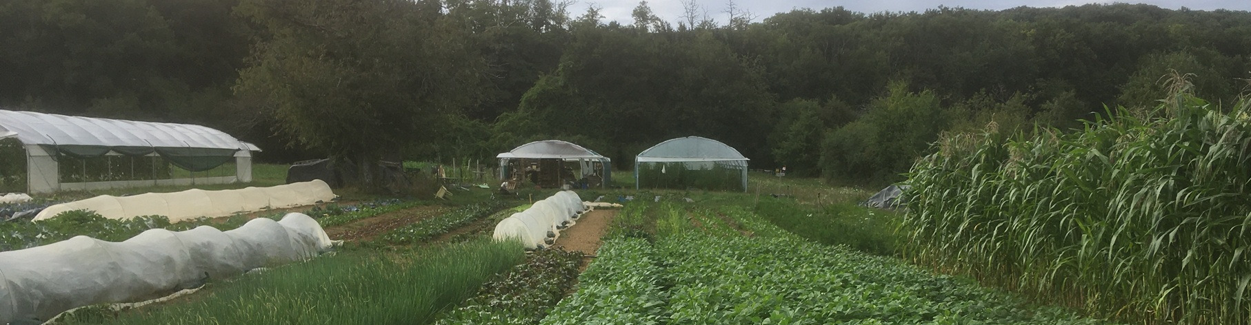 Le Jardin des Blanchots