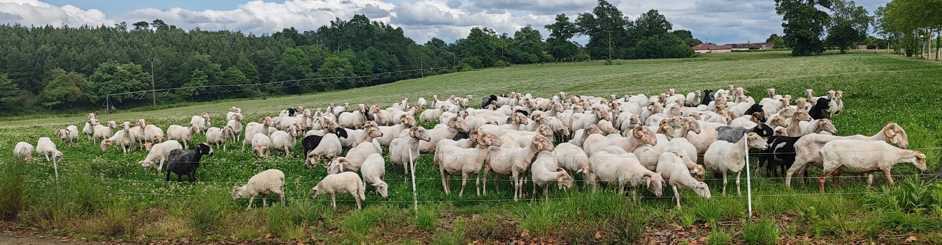La Bergerie d'Anaïs et Nicolas