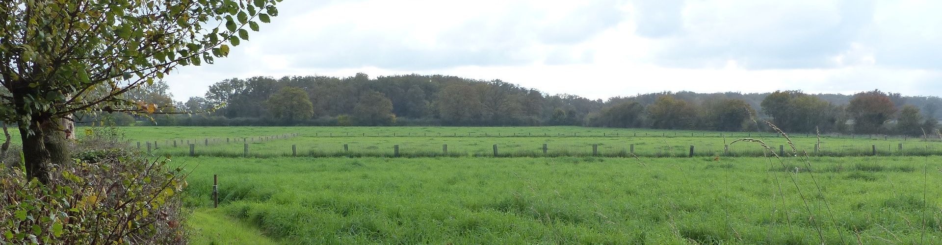 La Ferme aux Testards 
