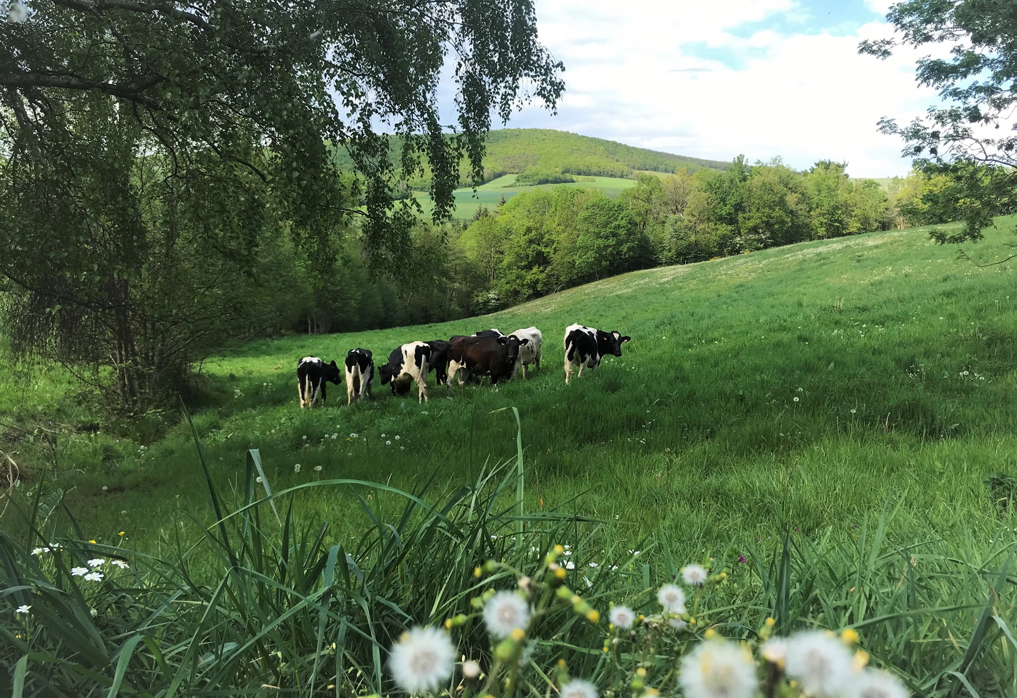 Ferme du Mont Monnet