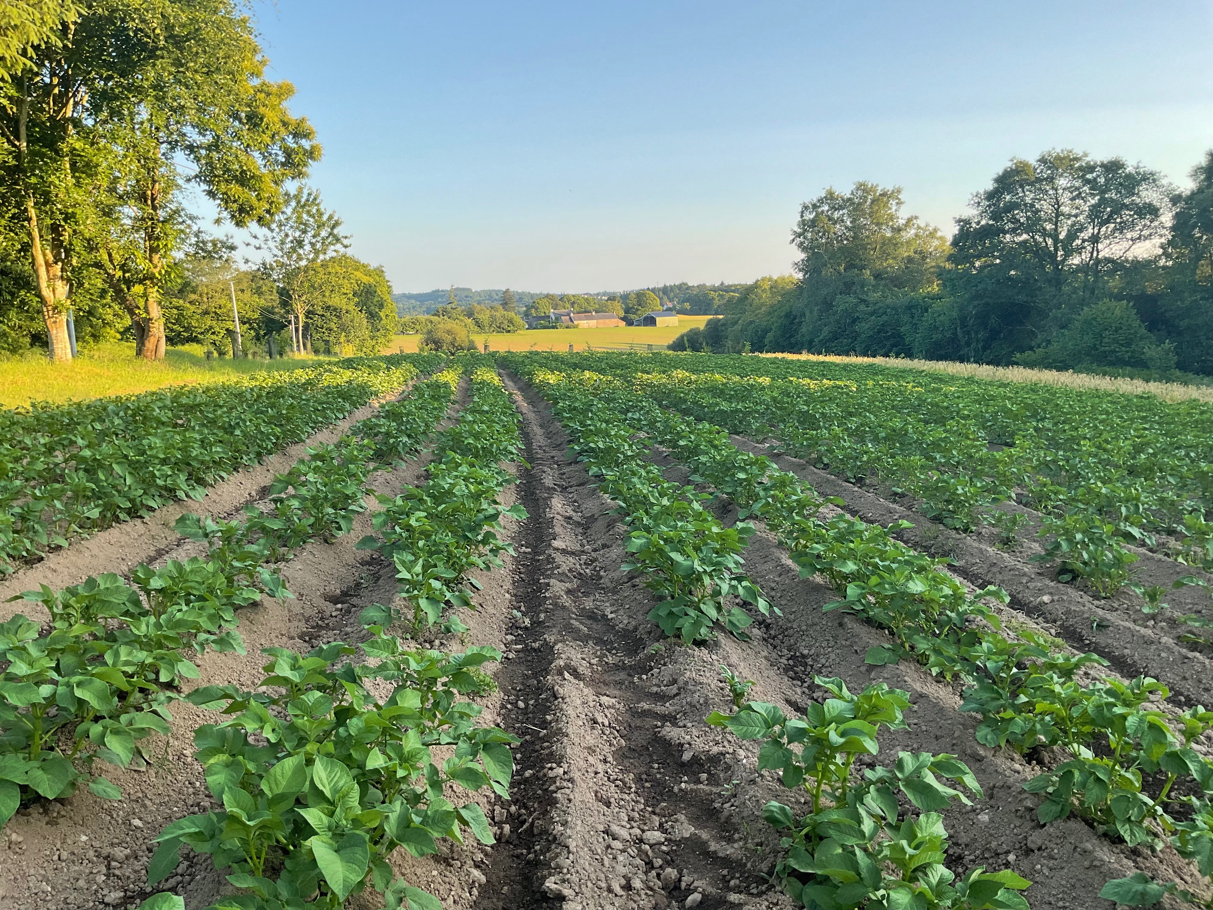 La petite ferme de Kerhoat