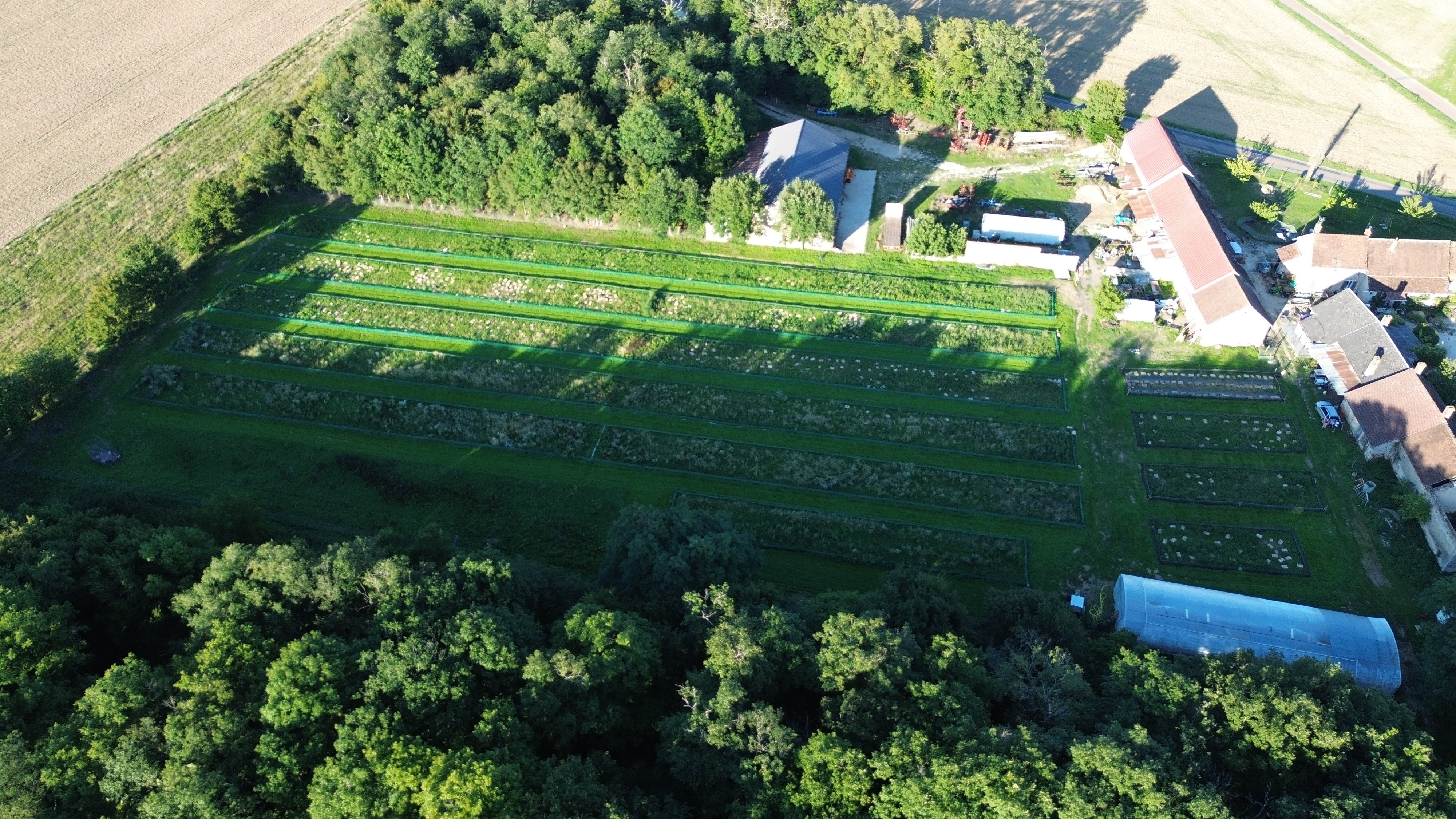 Les Cagouilles de Cornou