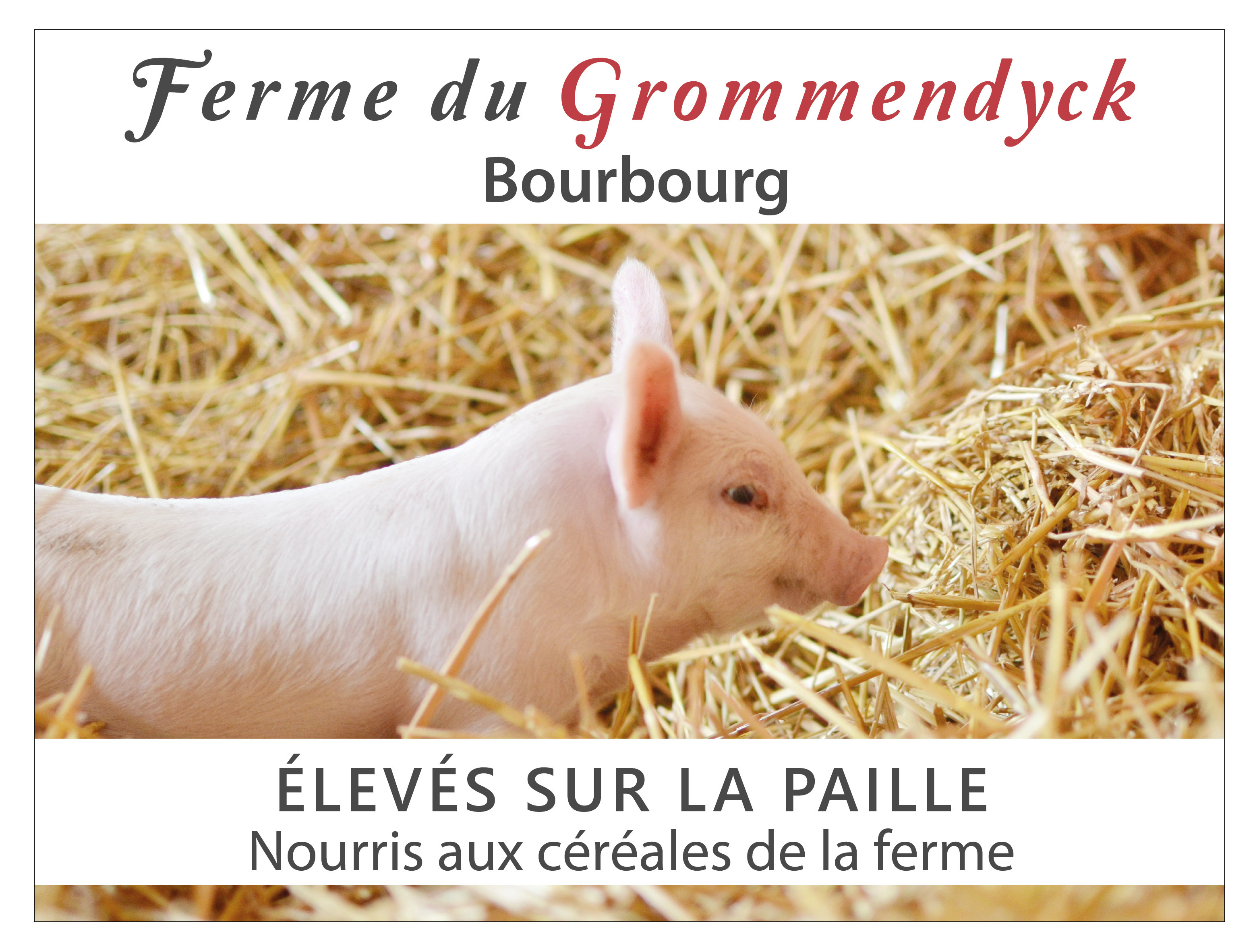 SARL Ferme du Grommendyck