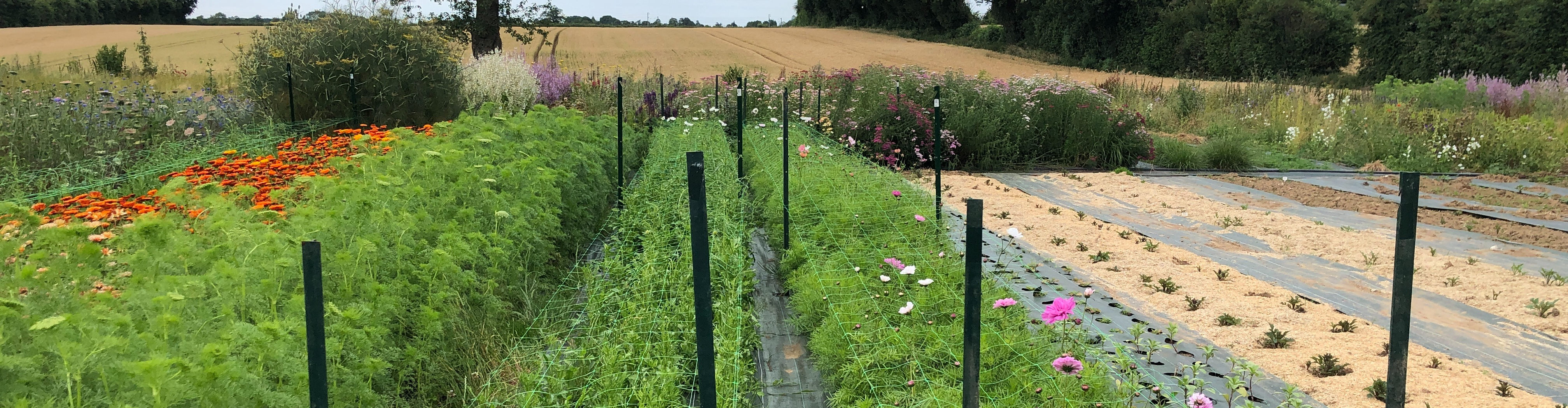 Ferme florale de Villedieu