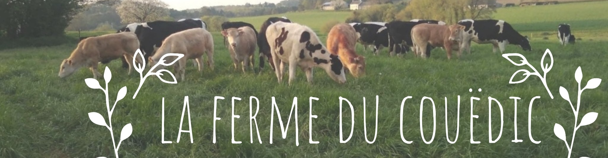 LA FERME DU COUEDIC 