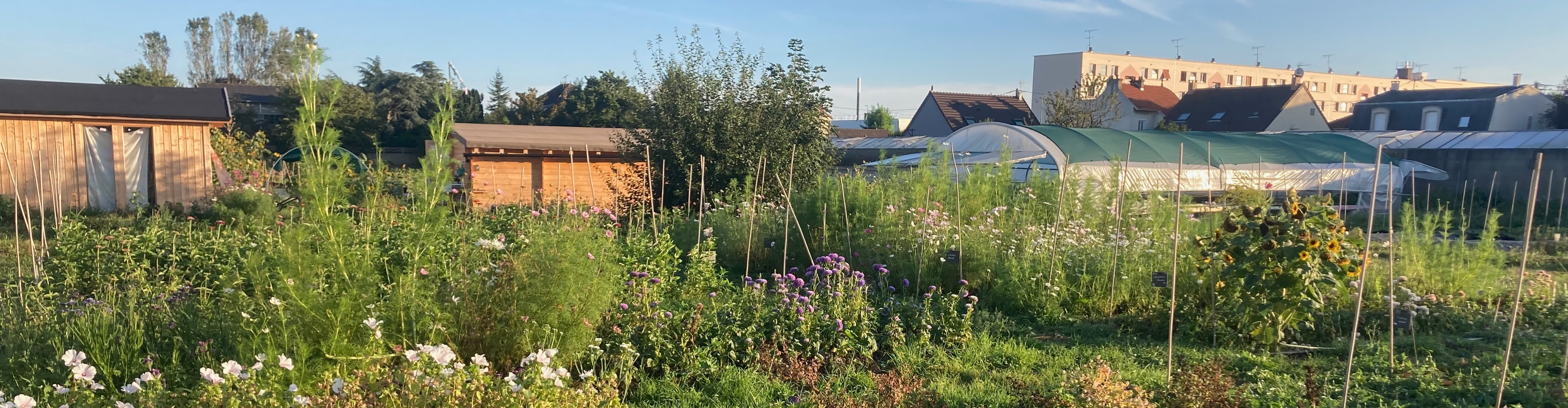 Ferme Florale Urbaine