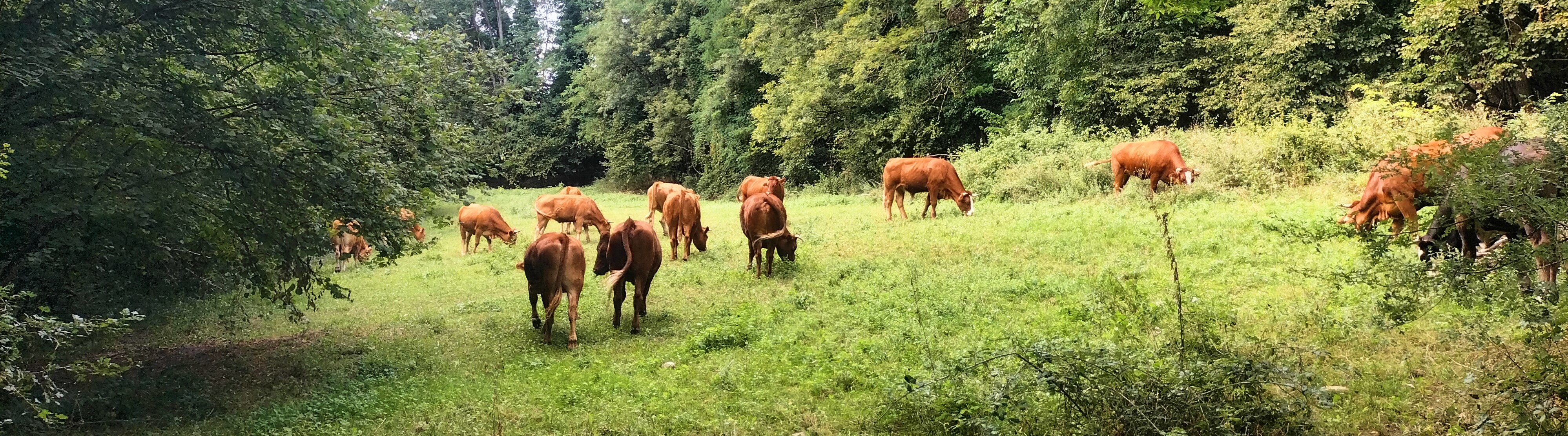 GAEC La Ferme Des Chapelles