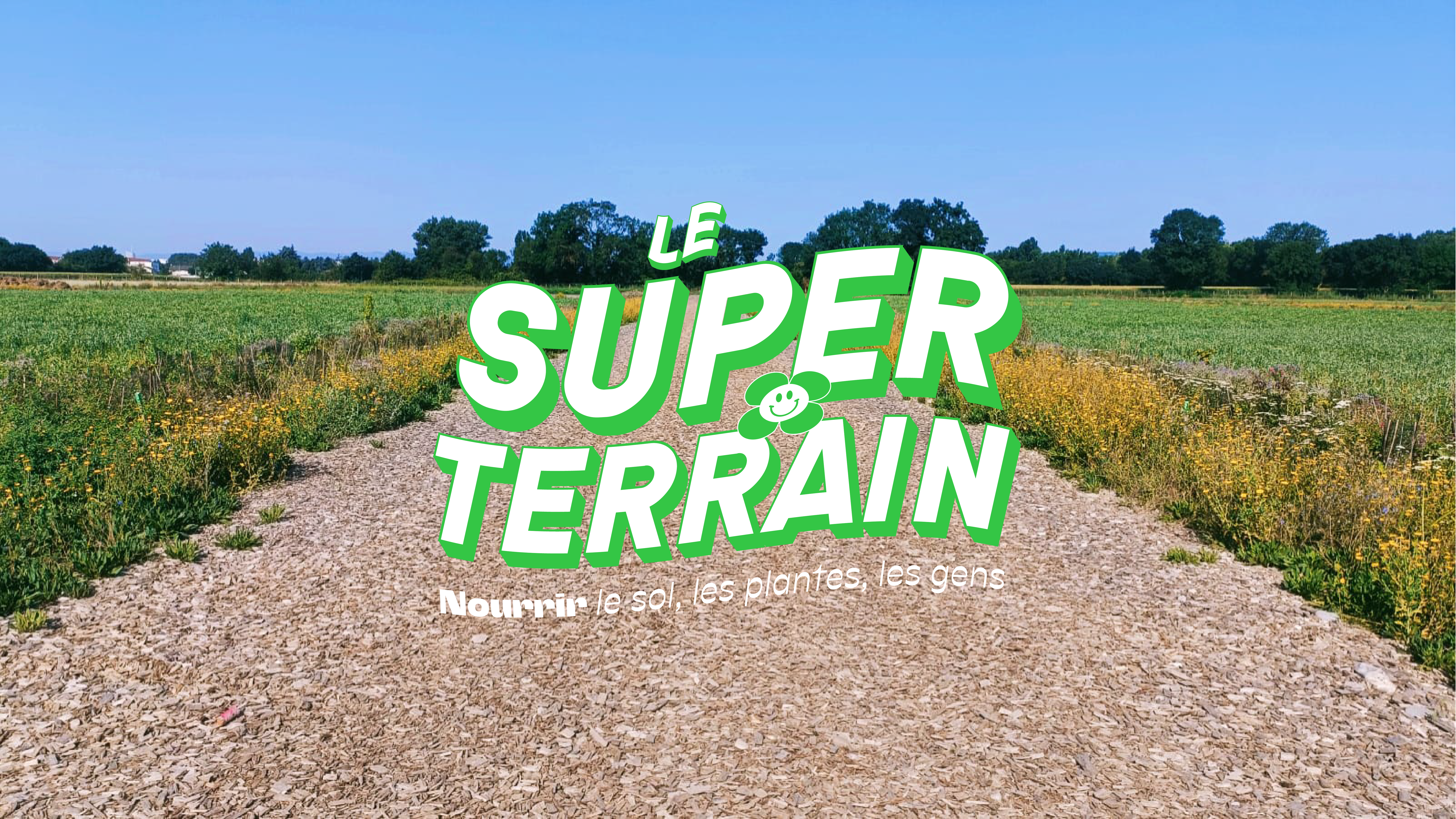 LE SUPER TERRAIN