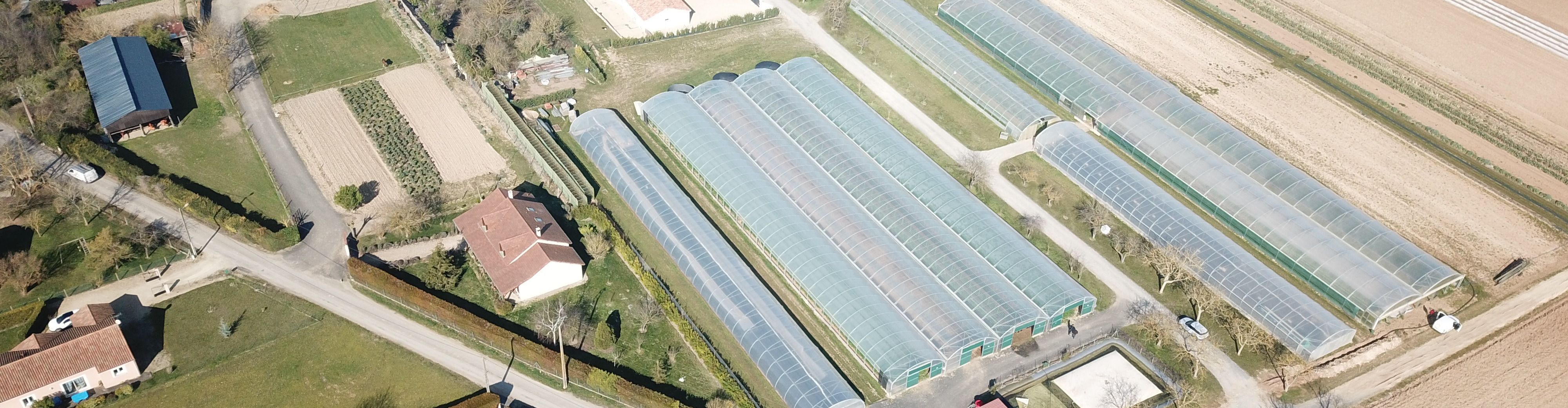 Scea de la plaine