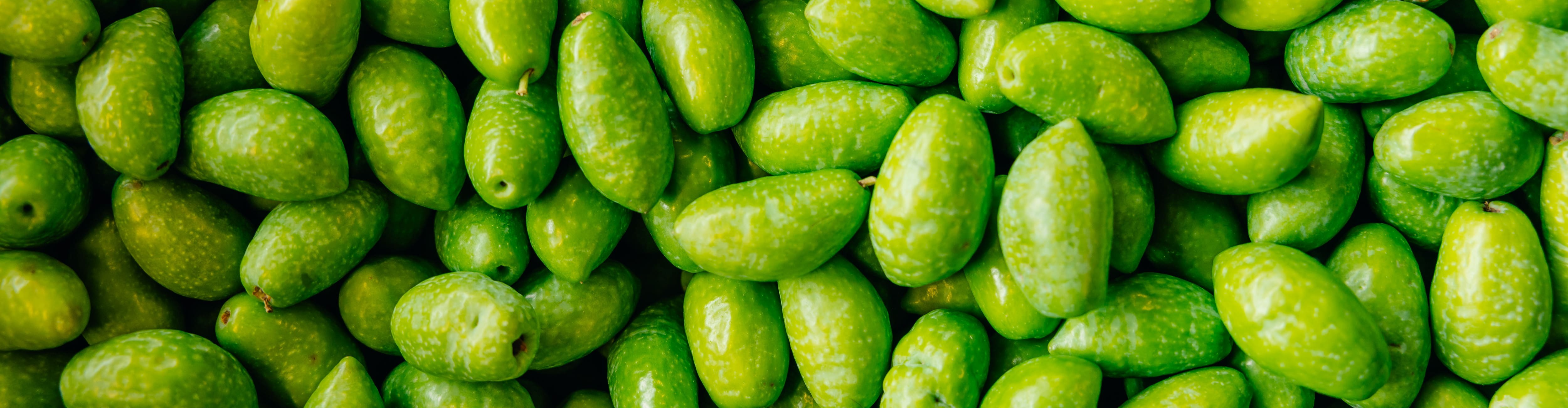 EARL Font De Mazeilles