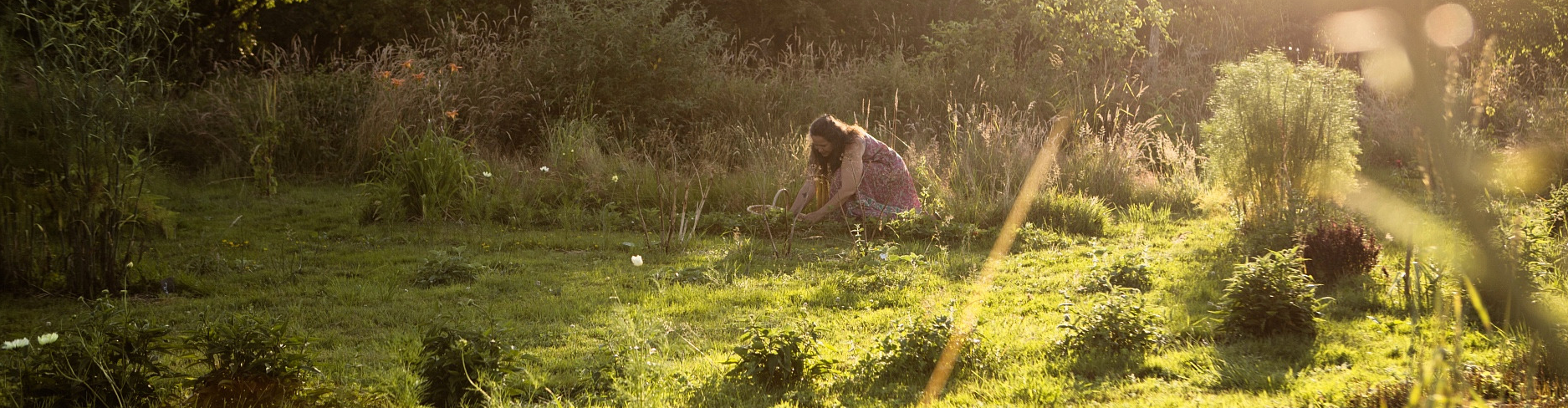 Les Simples Sauvages