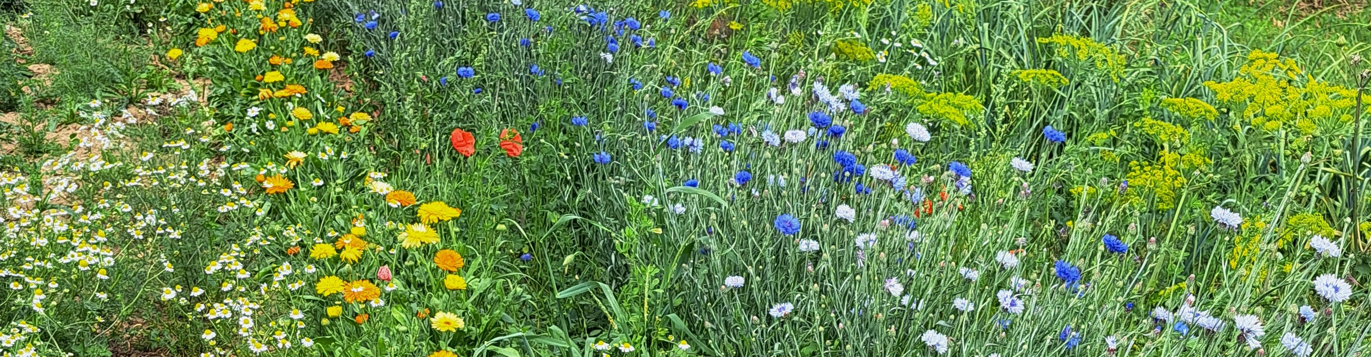 L'Atelier aromatique