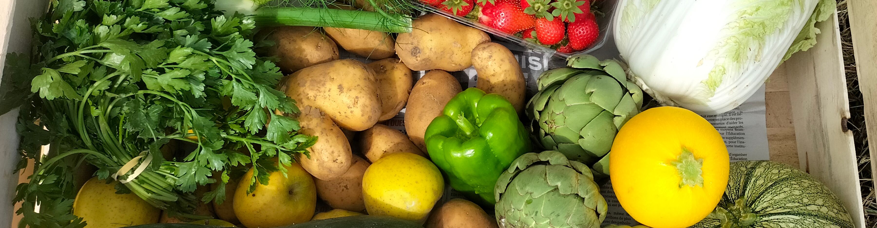 Les Paniers de Producteurs